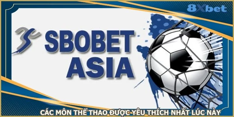 cac-mon-the-thao-duoc-yeu-thich-nhat-luc-nay